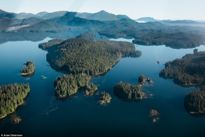 Hacia el desierto, a Alaska: cómo vivir en una isla entre osos y ballenas y no volverse loco