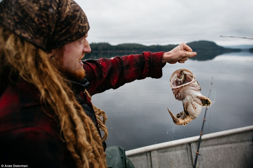 Hacia el desierto, a Alaska: cómo vivir en una isla entre osos y ballenas y no volverse loco