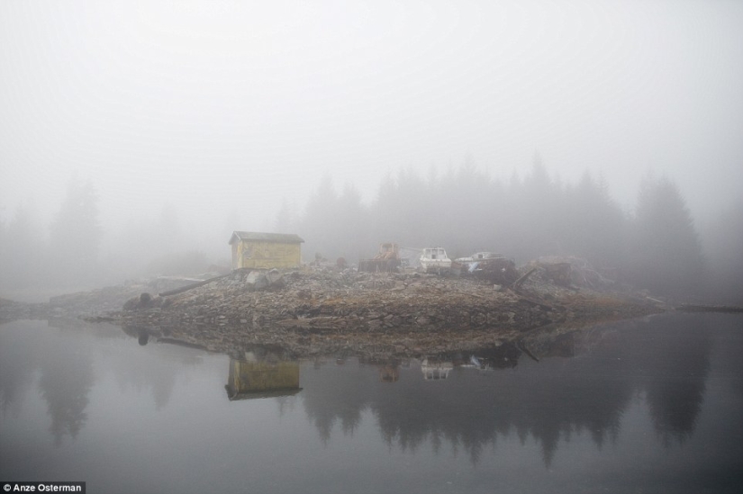 Hacia el desierto, a Alaska: cómo vivir en una isla entre osos y ballenas y no volverse loco
