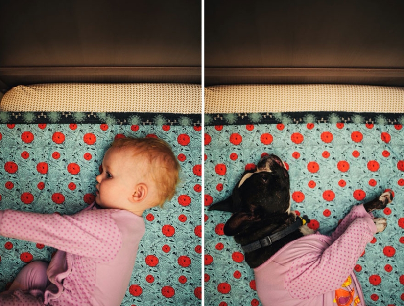 Happy together — a photo story about the growing up of a girl and a puppy Happy together — a photo story about the growing up of a girl and a puppy