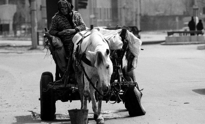 Harsh Romania of the 90s, where flocks of sheep blocked busy streets Harsh Romania of the 90s, where flocks of sheep blocked busy streets
