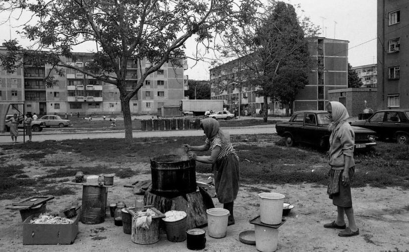 Harsh Romania of the 90s, where flocks of sheep blocked busy streets Harsh Romania of the 90s, where flocks of sheep blocked busy streets