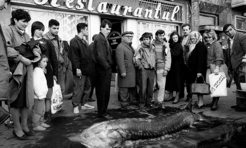 Harsh Romania of the 90s, where flocks of sheep blocked busy streets Harsh Romania of the 90s, where flocks of sheep blocked busy streets