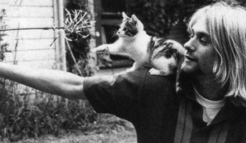 Hay un gato detrás de cada gran hombre