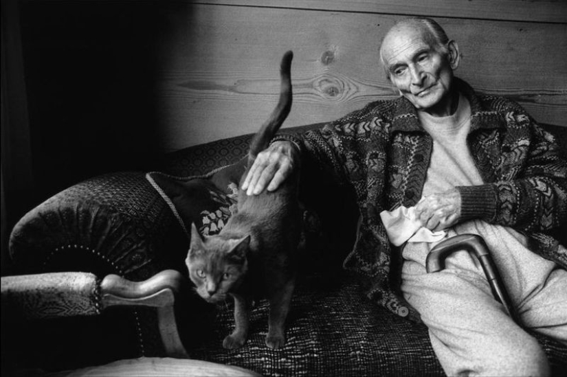 Hay un gato detrás de cada gran hombre