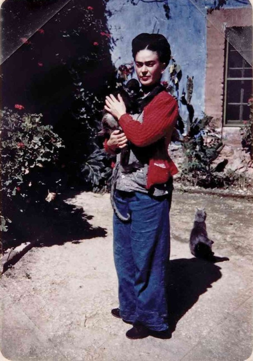Hay un gato detrás de cada gran hombre