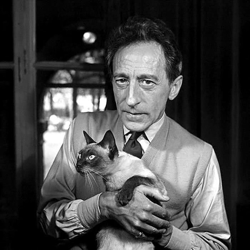 Hay un gato detrás de cada gran hombre