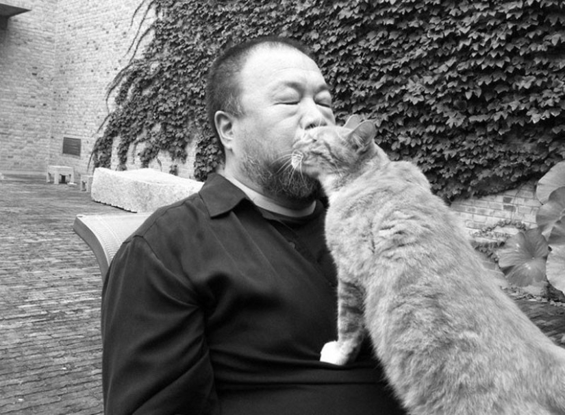 Hay un gato detrás de cada gran hombre