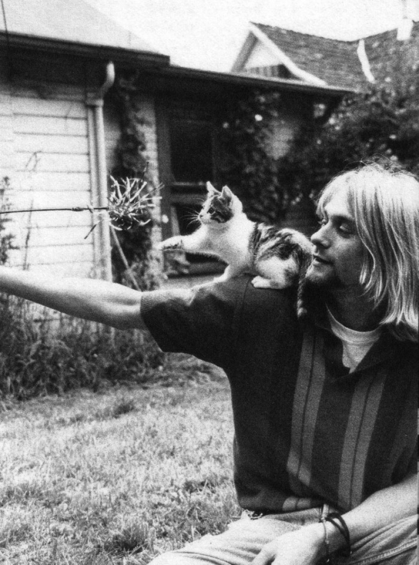 Hay un gato detrás de cada gran hombre