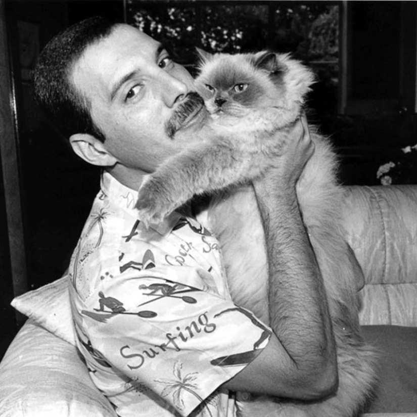 Hay un gato detrás de cada gran hombre