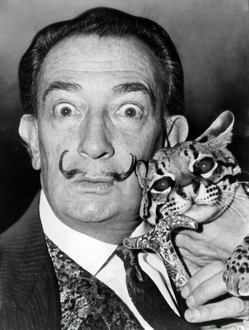 Hay un gato detrás de cada gran hombre