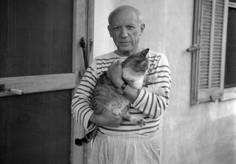 Hay un gato detrás de cada gran hombre