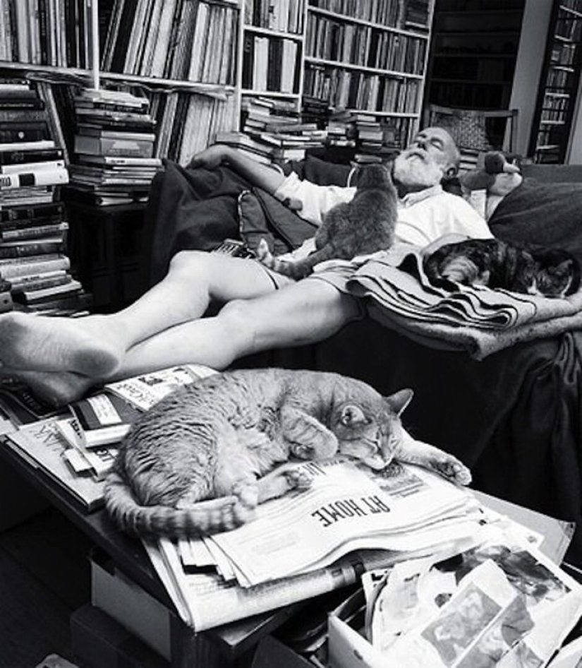 Hay un gato detrás de cada gran hombre