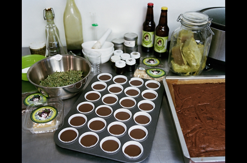 "Herbal business" in Colorado: an inside look "Herbal business" in Colorado: an inside look