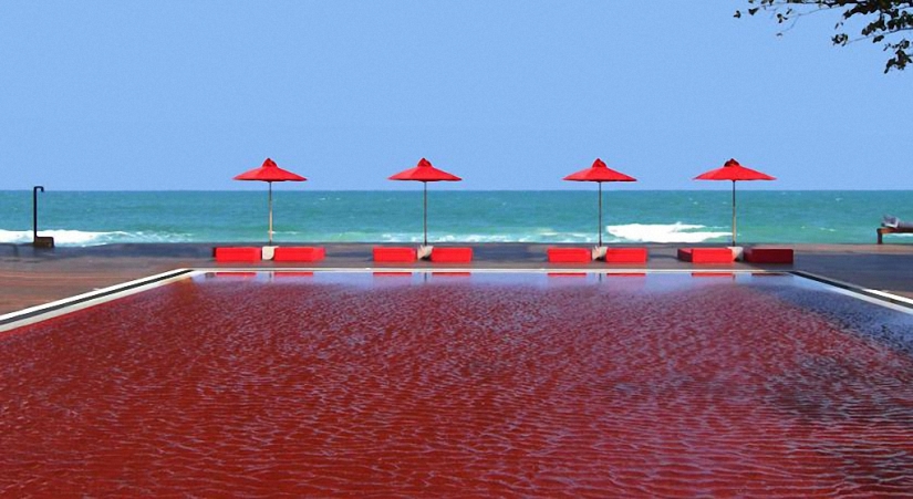 Hermosas piscinas del mundo.