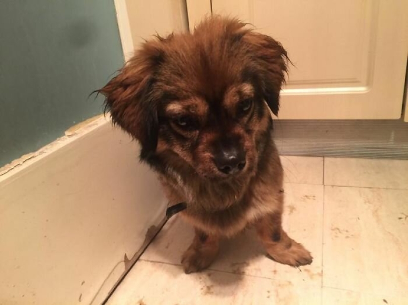 Heroes big and small: 30 examples of how people help others in a pandemic Heroes big and small: 30 examples of how people help others in a pandemic