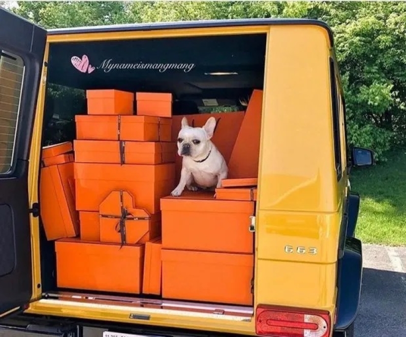 Hot winter: Golden youth brags about luxurious Christmas holidays on Instagram