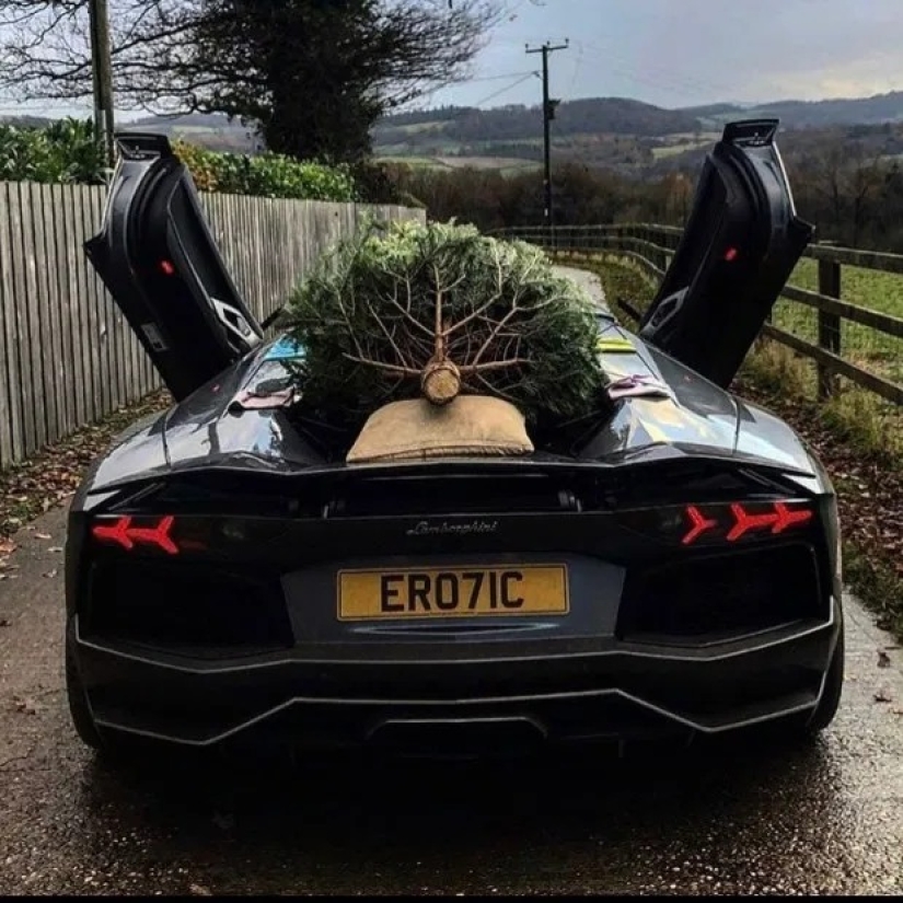 Hot winter: Golden youth brags about luxurious Christmas holidays on Instagram