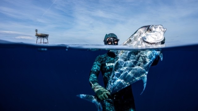 "Hotel sobre zancos" : el hotel más peligroso del mundo está esperando a los ricos conocedores de lo exótico "Hotel sobre zancos" : el hotel más peligroso del mundo está esperando a los ricos conocedores de lo exótico