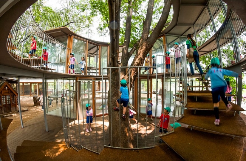 Houses whose architects refused to cut down trees