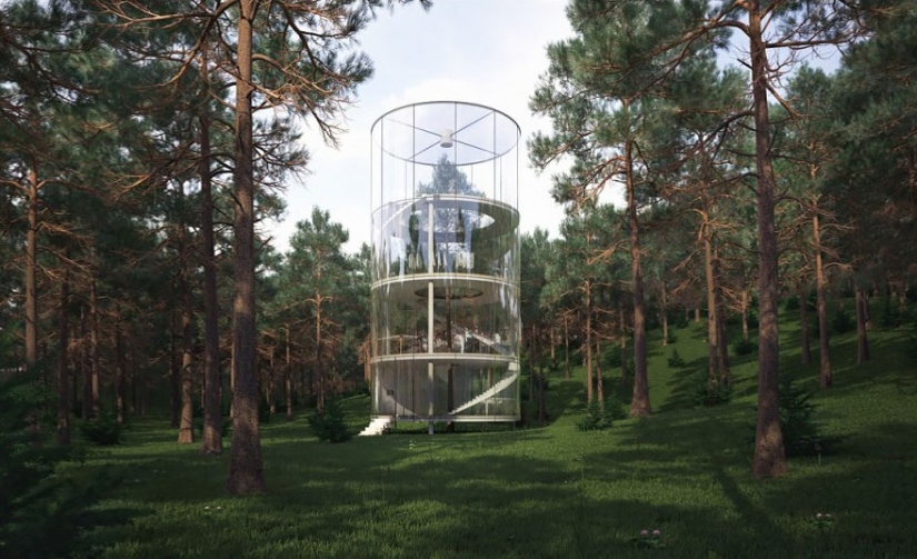 Houses whose architects refused to cut down trees