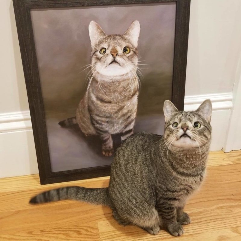 How a cat with an extra chromosome became an Instagram star