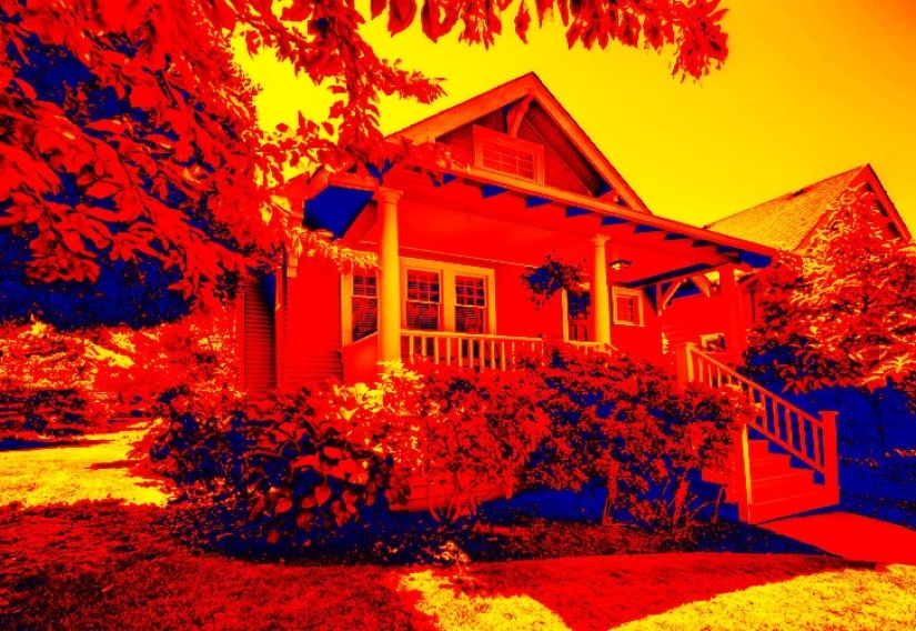 How do different animals see the world? How do different animals see the world?