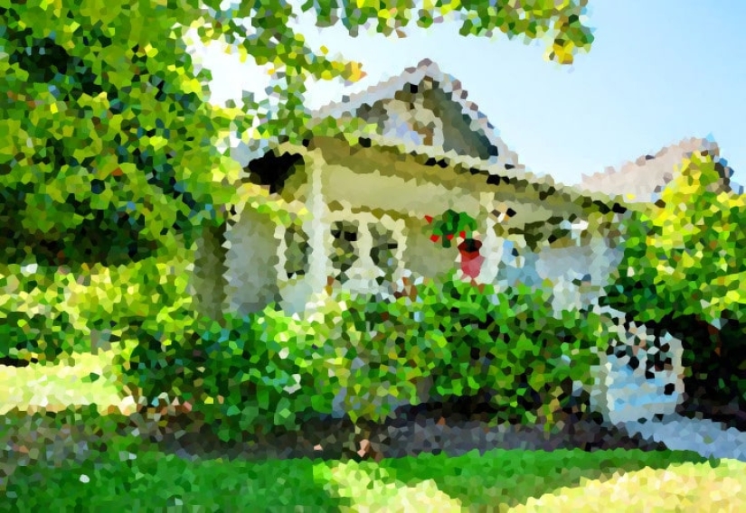 How do different animals see the world? How do different animals see the world?