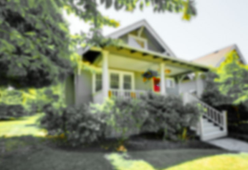 How do different animals see the world? How do different animals see the world?