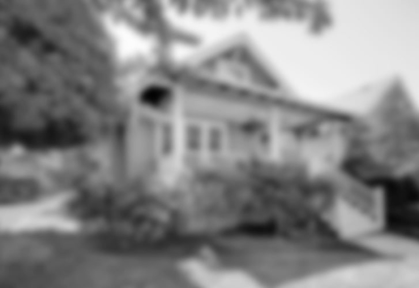 How do different animals see the world? How do different animals see the world?