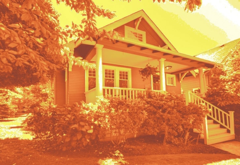 How do different animals see the world? How do different animals see the world?