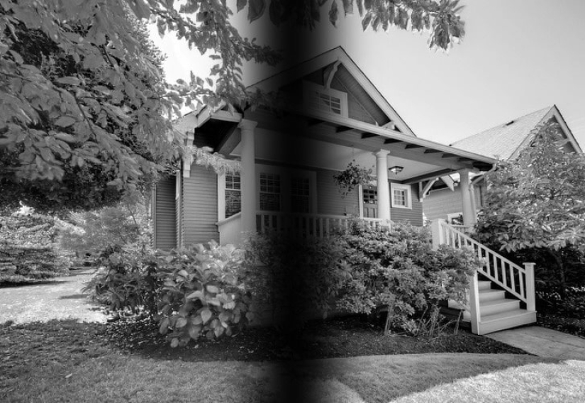 How do different animals see the world? How do different animals see the world?