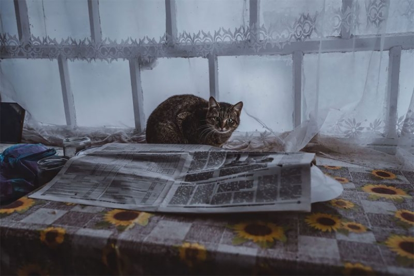 How do people who refused to leave the Chernobyl exclusion zone live now