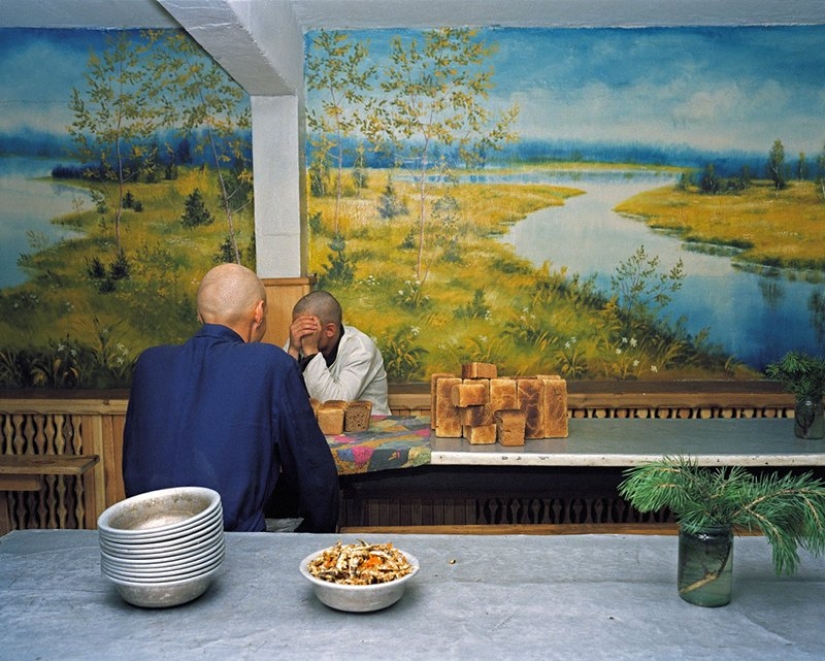 How do young prisoners live in Siberian colonies