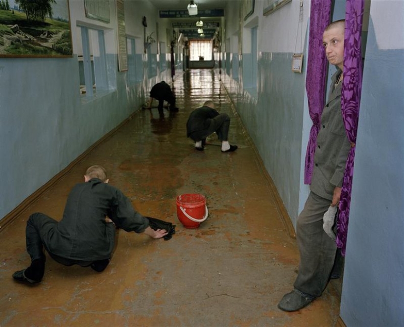How do young prisoners live in Siberian colonies