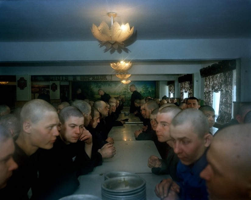 How do young prisoners live in Siberian colonies