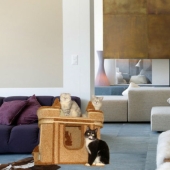 How easy it is to check if your interior is shit