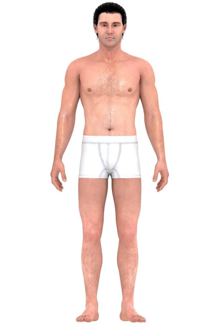 How ideas about the ideal male body have changed over the past 150 years