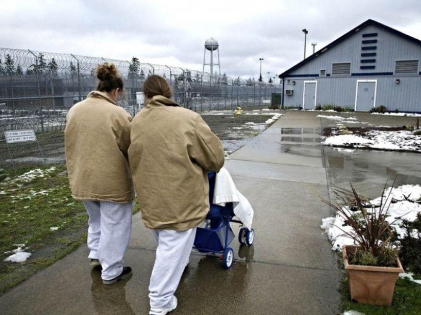 How newborn children of prisoners in the USA and Russia live How newborn children of prisoners in the USA and Russia live