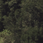 How porn Actor Owen Gray Became a tiktok Star and a Meme