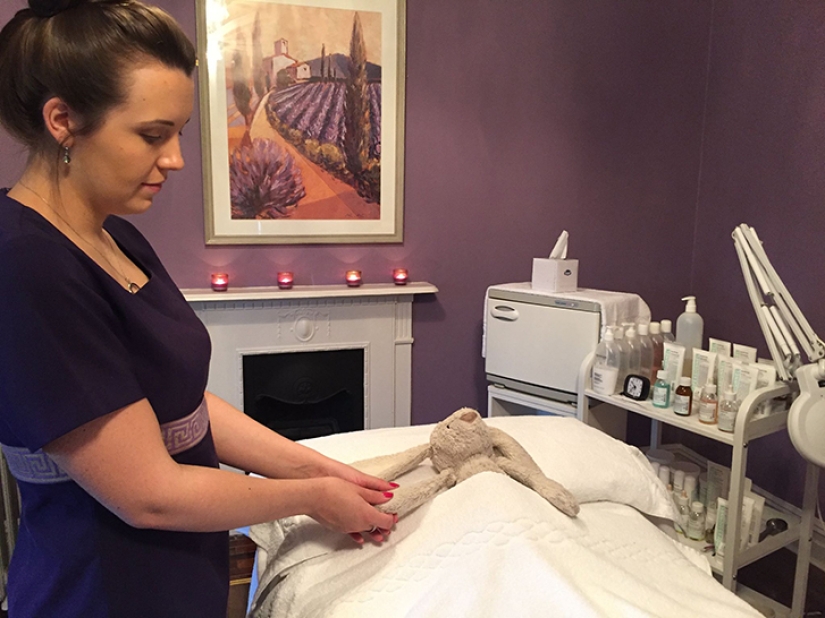 How the rabbit found his family and became a Facebook star at the same time How the rabbit found his family and became a Facebook star at the same time