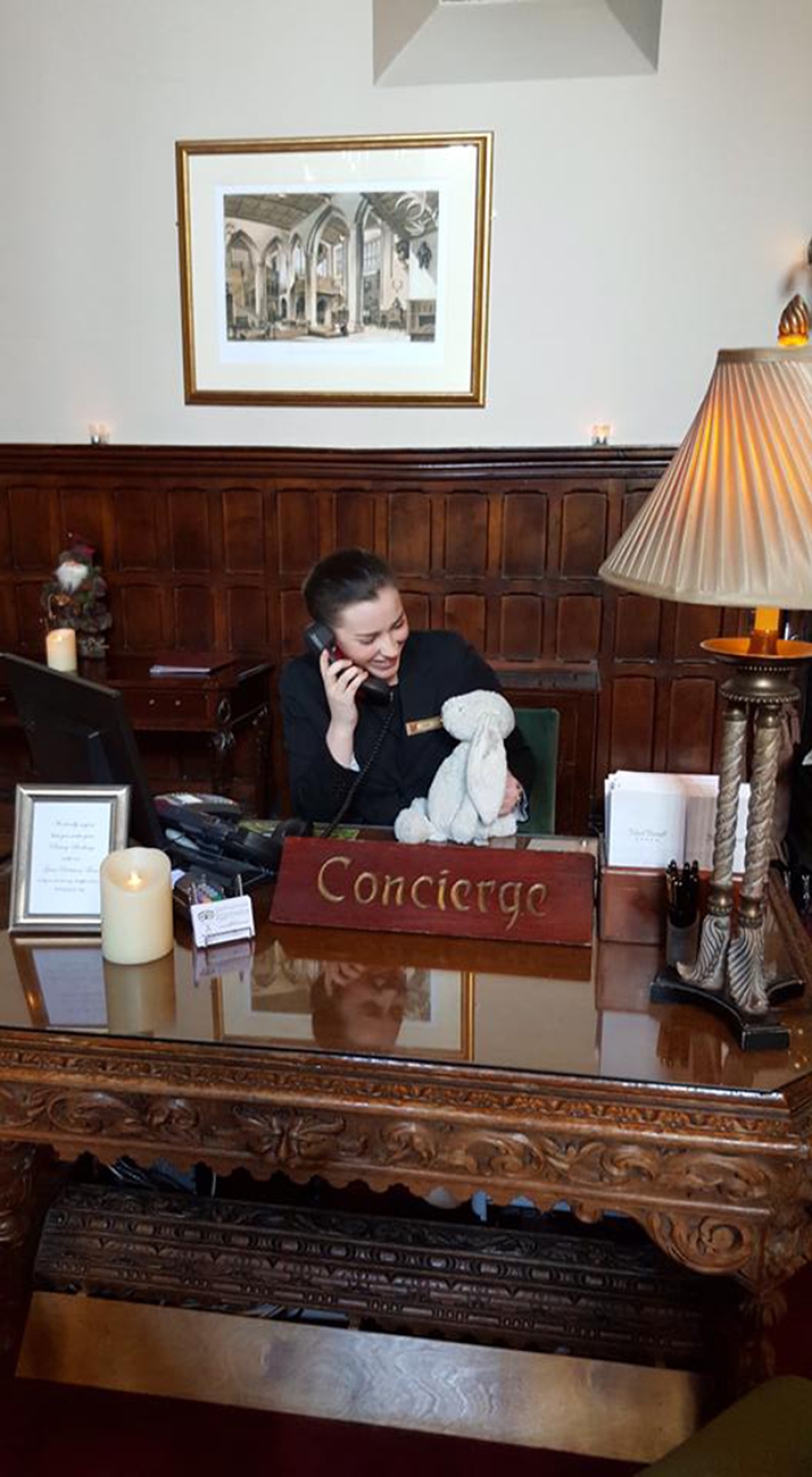 How the rabbit found his family and became a Facebook star at the same time How the rabbit found his family and became a Facebook star at the same time