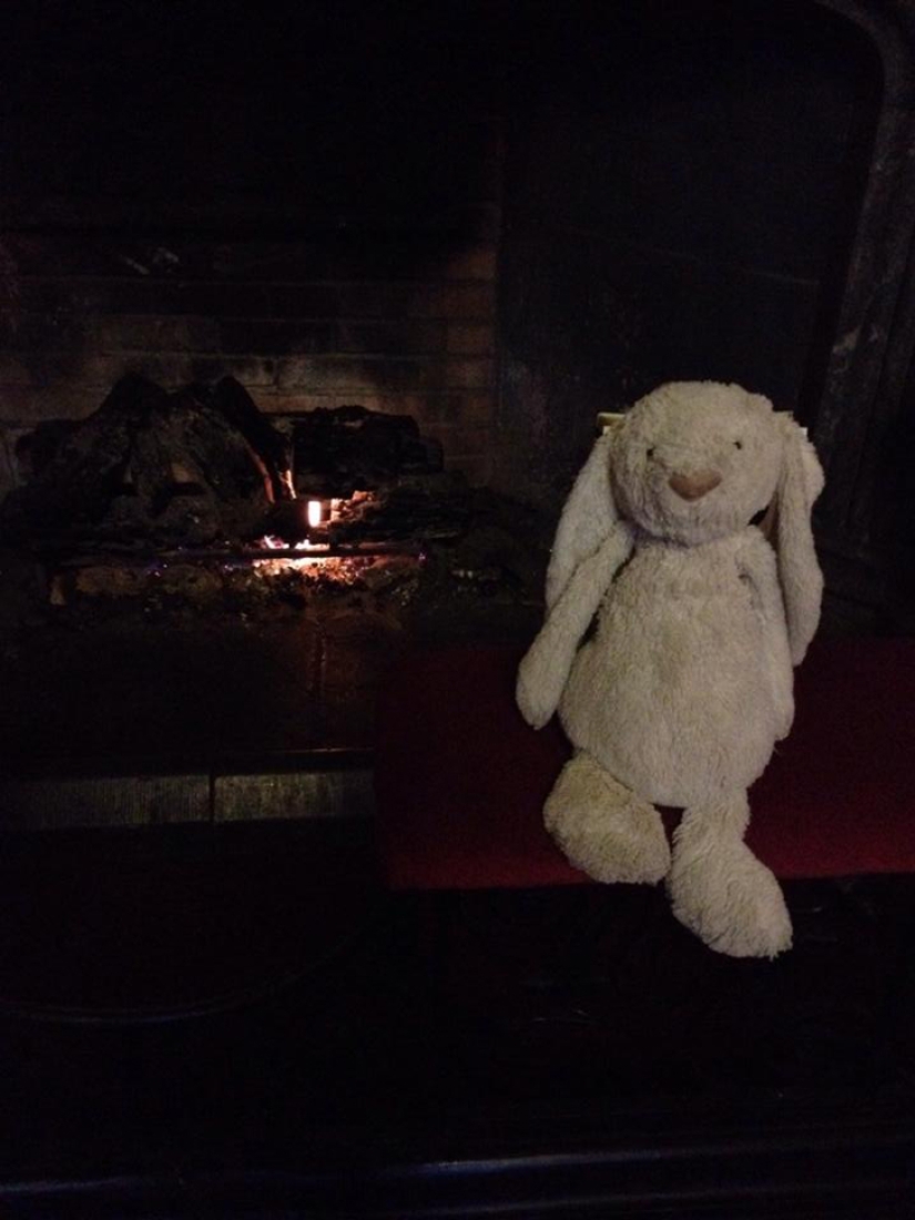 How the rabbit found his family and became a Facebook star at the same time How the rabbit found his family and became a Facebook star at the same time