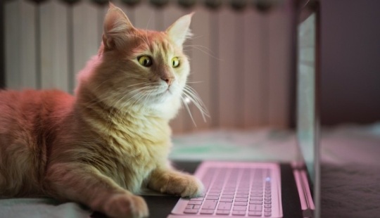 How to "break" Google — 3 proven ways