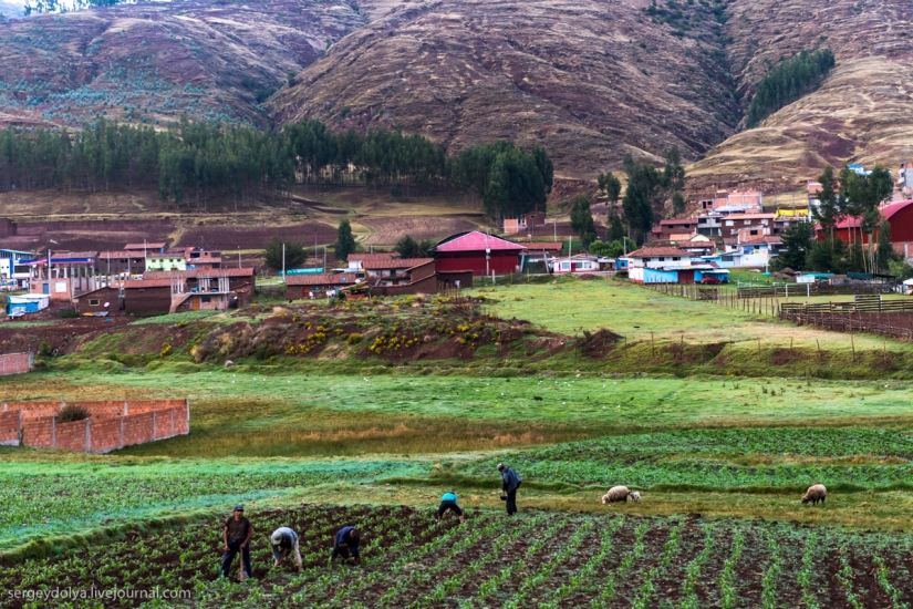 How to earn 10 million a day on old stones. The experience of Peru How to earn 10 million a day on old stones. The experience of Peru