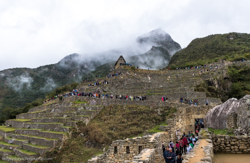How to earn 10 million a day on old stones. The experience of Peru How to earn 10 million a day on old stones. The experience of Peru
