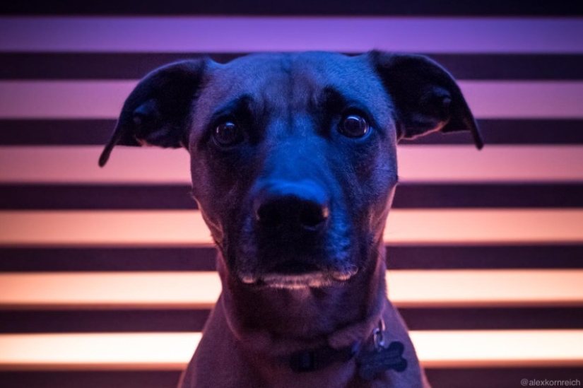 How to make a beautiful photo and get a poster for a movie? This person knows the answer for sure How to make a beautiful photo and get a poster for a movie? This person knows the answer for sure