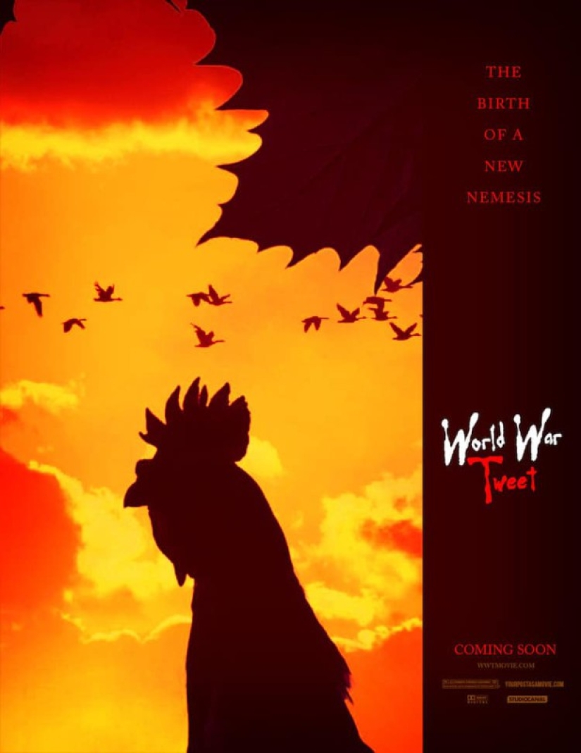 How to make a beautiful photo and get a poster for a movie? This person knows the answer for sure How to make a beautiful photo and get a poster for a movie? This person knows the answer for sure