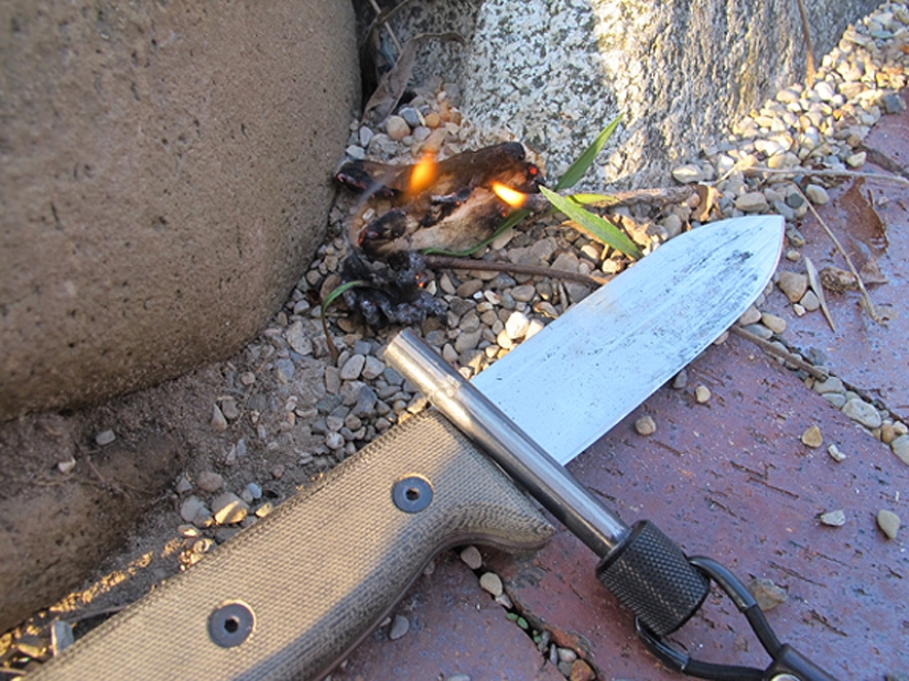 How to use a tampon for a real man: 10 harsh tips