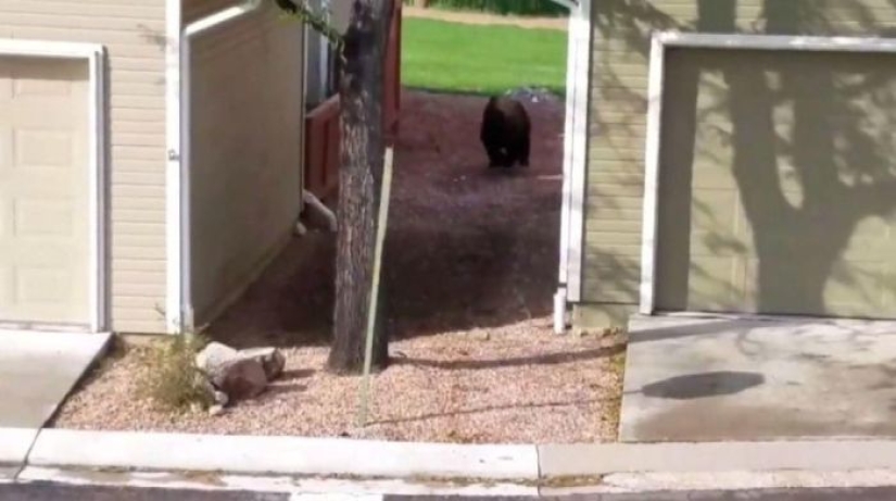 How utilities in the US found an "uninvited guest" in the sewer How utilities in the US found an "uninvited guest" in the sewer